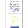 Le monde invisible des Anges