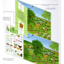 La nature au fil des mois