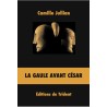 La Gaule avant César