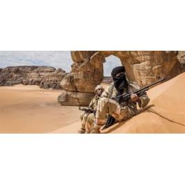 Menaces en Afrique du Nord et au Sahel et sécurité globale de l'Europe