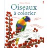 Oiseaux à colorier