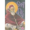 Saint Pie V - 14