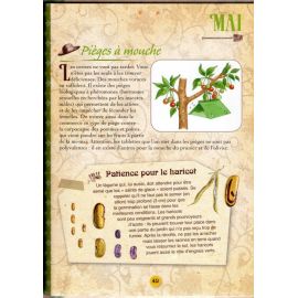 Les meilleurs astuces de Grand-Père au jardin au fil des saisons