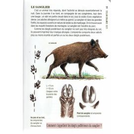 Identifier les traces d'animaux