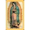 Notre Dame de Guadalupe - CB1230