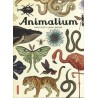 Animalium