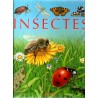 Les insectes