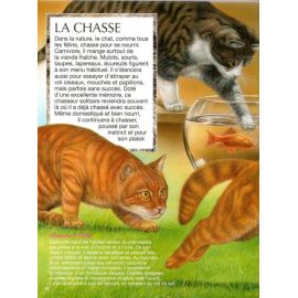 Les chats