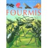 Les fourmis