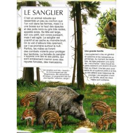 Les animaux de la forêt