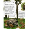 Les animaux de la forêt