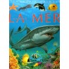 Les animaux de la mer