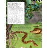 Les animaux de la jungle