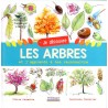 Je découvre les arbres et j'apprends à les reconnaître