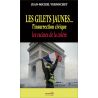 Les Gilets Jaunes... l'insurrection civique