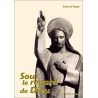 Père Édouard Poppe - Sous le regard de Dieu