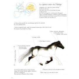 Tamina cet été-là...