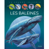 Agnès Vandewièle - Les baleines