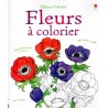 Fleurs à colorier