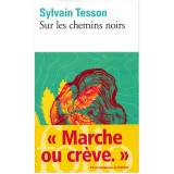 Sylvain Tesson : Pourquoi, quand on devient adulte, on ne voit pas  des fées partout ?