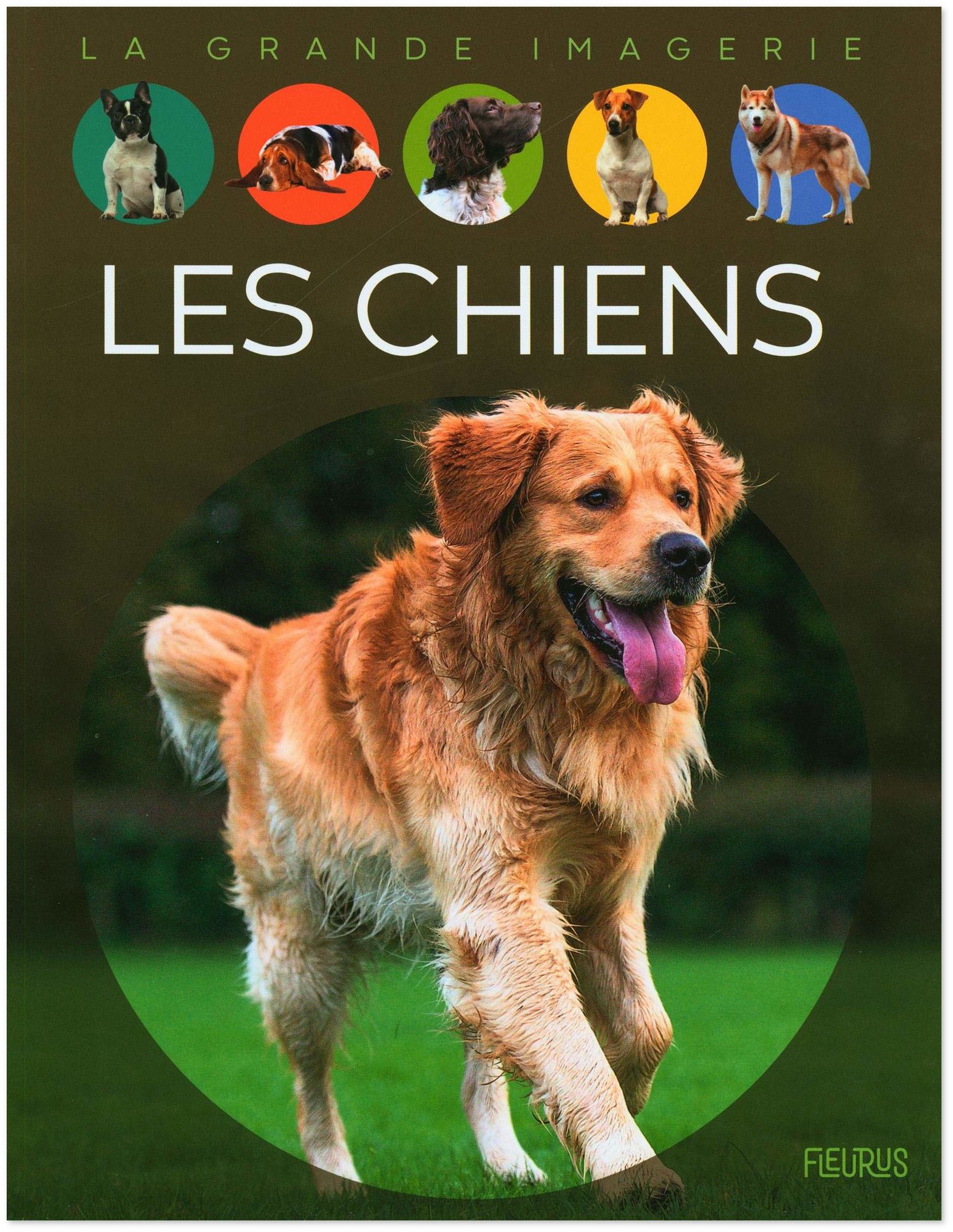 Emilie Beaumont : Les Chiens | Livres en famille