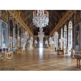 Nicolas Milovanovic - Les Grands Appartements de Versailles sous Louis XIV