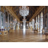 Nicolas Milovanovic - Les Grands Appartements de Versailles sous Louis XIV