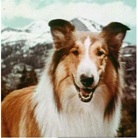 William Beaudine - Lassie -Volume 1