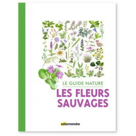 Sophie Giriens - Les Fleurs sauvages