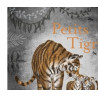 Petits tigres