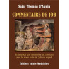 Saint Thomas d'Aquin - Commentaire de Job