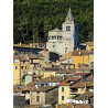 Collectif - Cathédrales de Provence   La Grâce d'une Cathédrale