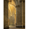 Saint Denis   La Grâce d'une Cathédrale