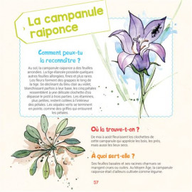 Je découvre la nature    J'apprends à reconnaître les arbres et les fleurs