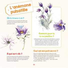 Je découvre la nature    J'apprends à reconnaître les arbres et les fleurs