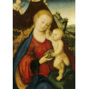 Lucas Cranach - 1472-1553 - La Vierge à la grappe - N°256