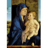 Giovanni Bellini 1430-1516 - La Vierge et l'Enfant - N°407