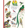 Isabelle Jeuge-Maynart - Oiseaux du monde à colorier - Planches détachables à colorier ou à peindre