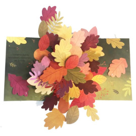 Janet Lawler - Couleurs d'automne - Découvre le monde fabuleux des feuilles en pop-up