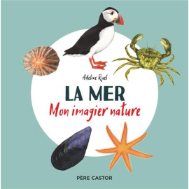 Adeline Ruel - La mer - Mon imagier nature