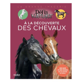 Claire Neveux - À la découverte des chevaux