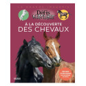 À la découverte des chevaux