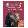 À la découverte des chevaux