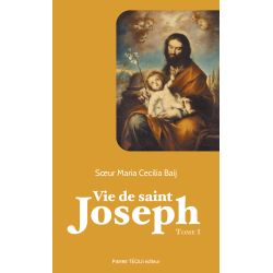 Vie de saint Joseph Tome 1