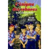 L'énigme des cabanes