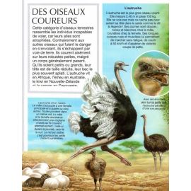 Les oiseaux