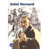 Saint Bernard - 10