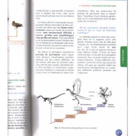 Les formes de la vie et la question de l'évolution