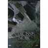 Le narcisse noir